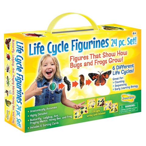 Life Cycle Figurines 24 pc Set