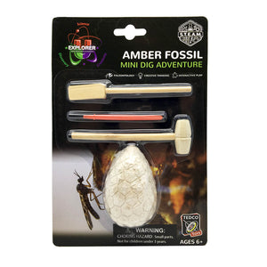 Amber Fossil Dig