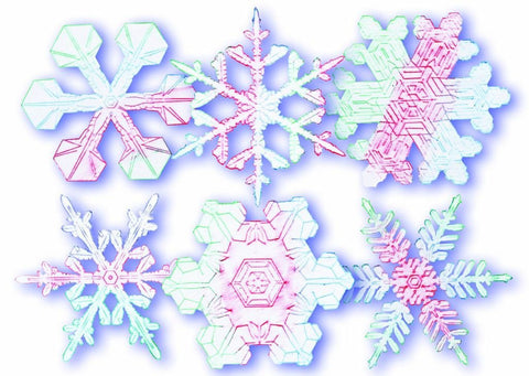 Roylco® Snowflake Rubbing Plates